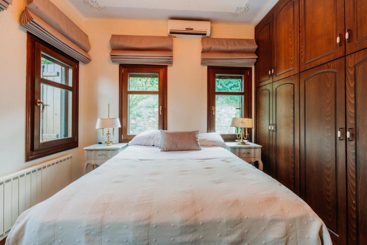 טסגרדה Elysian Luxury Villa Pelion מראה חיצוני תמונה